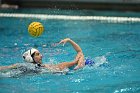 WWPolo vs CC  Wheaton College Women’s Water Polo compete in their sports inaugural match vs Connecticut College. - Photo By: KEITH NORDSTROM : Wheaton, water polo, inaugural